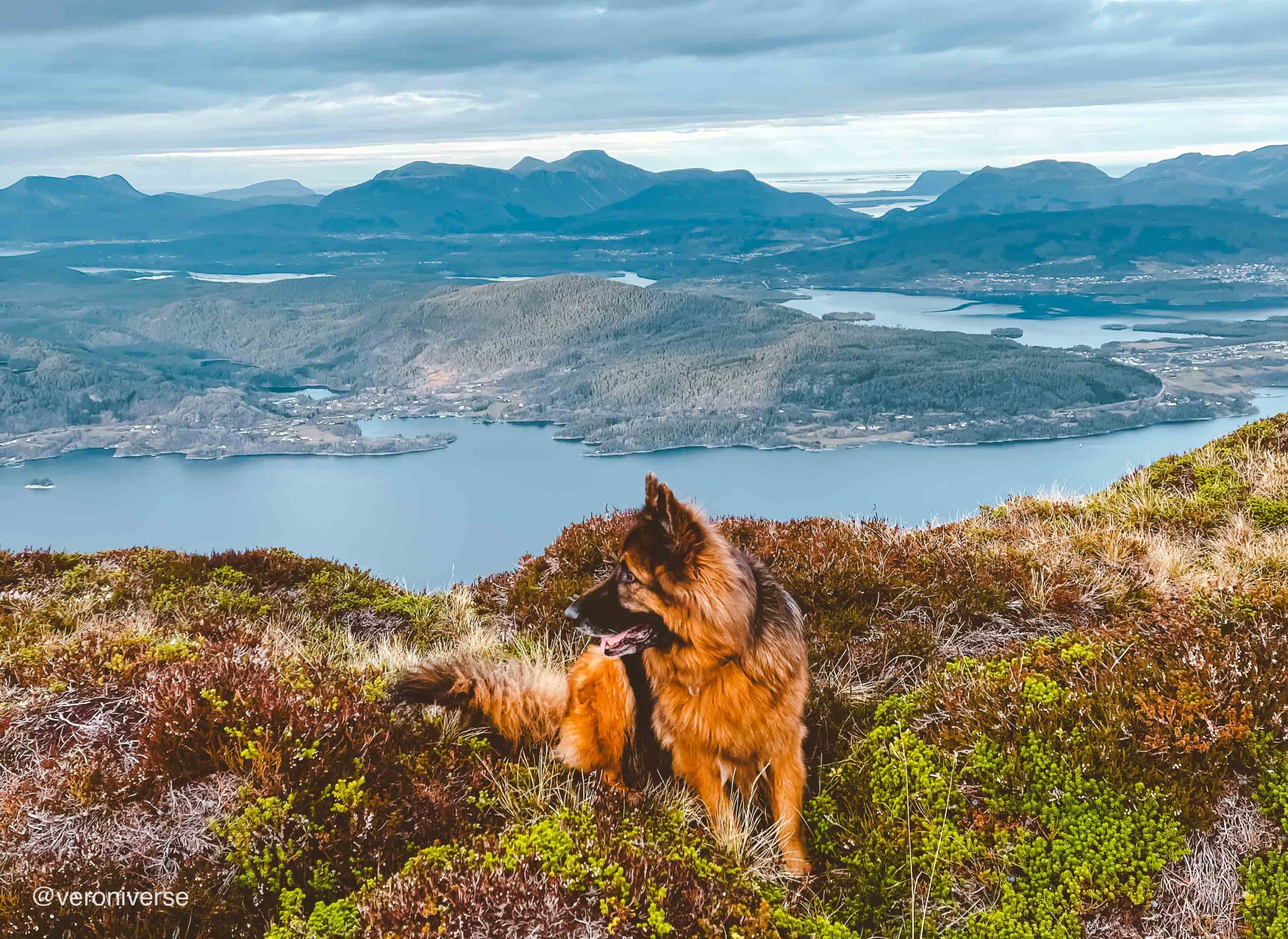 Fergero Sandivkshornet 876 moh fra Hjellane - nydelig fjordutsikt - Veroniverse